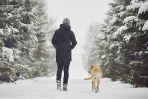 Man walking with his yellow Labrador retriever in winter landscape. Image licensed through Adobe Stock.